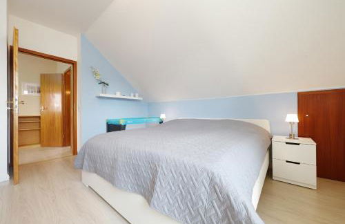 Huus Stokendörp für 2 Hunde - Foto 28