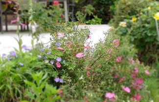 Hillside View - Foto 20