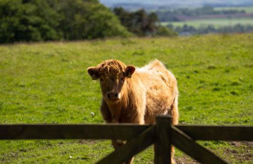 Modern and Stylish WoodHous - Photo 29