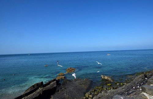 4 Bed in New Quay 78589 - Photo 29