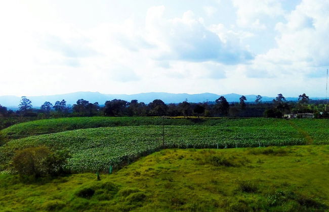 Apartahotel Jeronimos - Foto 44