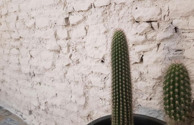 Busto Reform - Foto 9