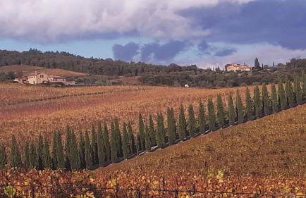 La casa di Elvira - Foto 38