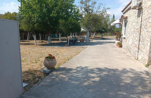 ΆΘΟΣ (ATHOS) - Foto 16