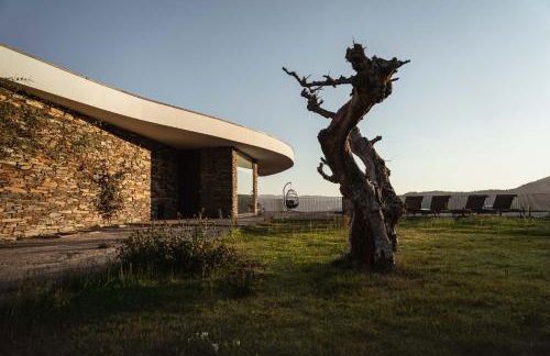 Quinta Vale das Papas - Foto 36