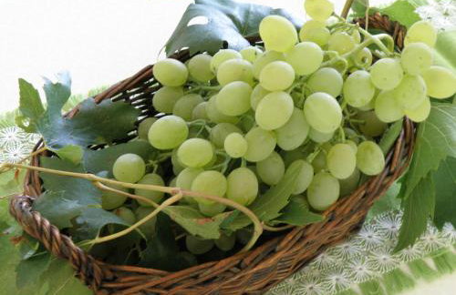 Apartment Pasman 14788c - Foto 21