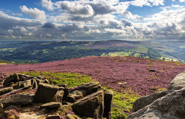Perdu dans la beauté : Chatsworth et le Peak District - Visite en petit groupe - Photo 2