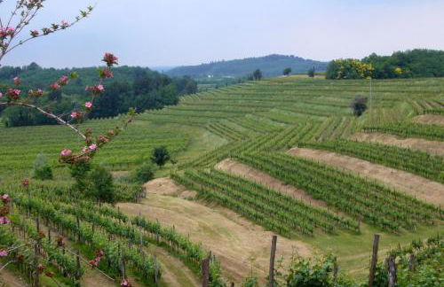 AGRITURISMO Casa Riz - Foto 35