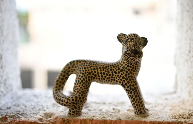 Room in B&B - Cancun Guest House 1 - Foto 26