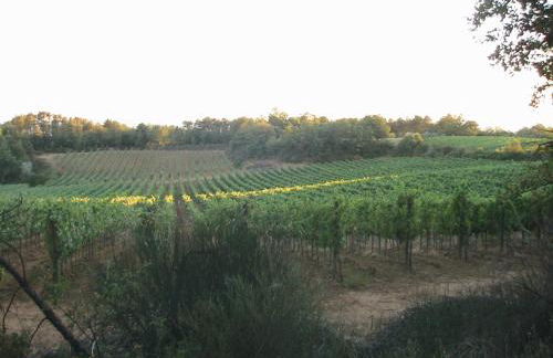 Agriturismo Campo del Monte - Photo 33