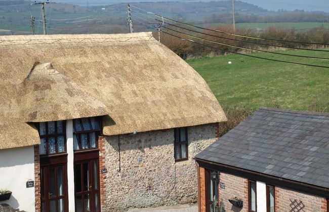 Berehayes Holiday Cottages - Foto 27