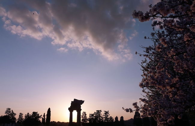 Casa Lerux - Foto 55