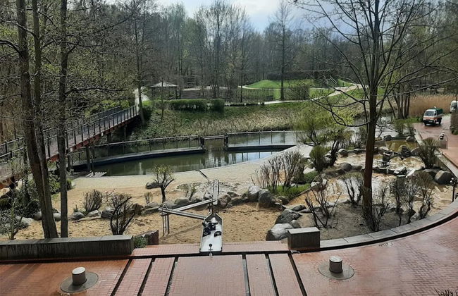 Bungalow in Lubben With a Terrace - Foto 74