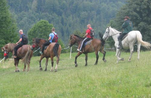 Chatka Milkowska - Foto 31