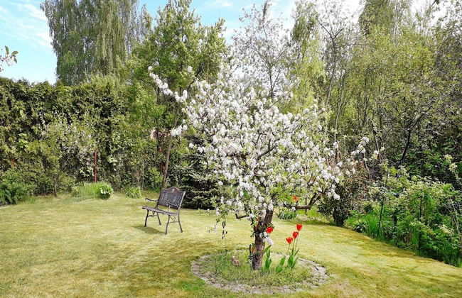Ferienwohnung in der Hubschen Inselstadt Malchow - Foto 11