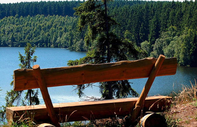 Log Cabin in Hasselfelde Near Harzer-hexen-stieg - Foto 15