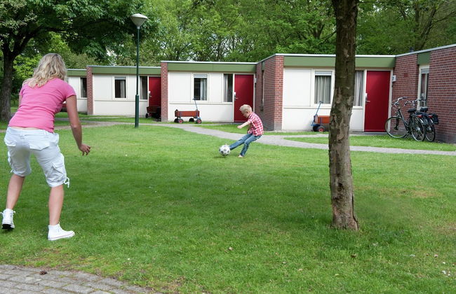 Cozy Bungalow in De Maasduinen - Photo 1