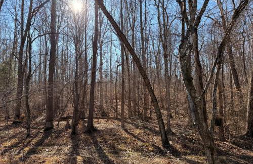 Cabin and Studio By The River - Kayaks, Trails, Gym - Foto 20