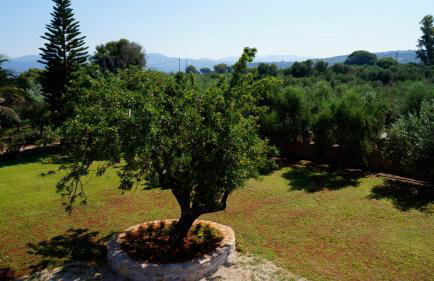 Sani Kasimis - Foto 8