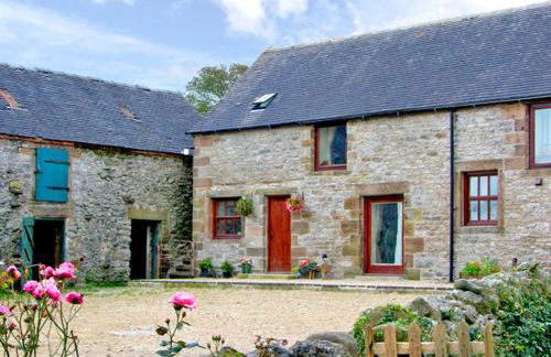 Aunt Jane's - Foto 1