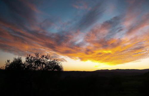 Agriturismo Le Roghete - Foto 67