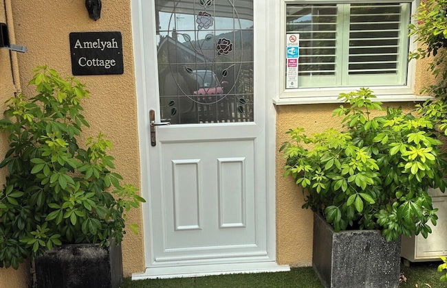 Relaxing Studio - Sauna - Luxe Bed - Pet-friendly - Foto 25