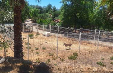 Private Wooden House - Foto 18