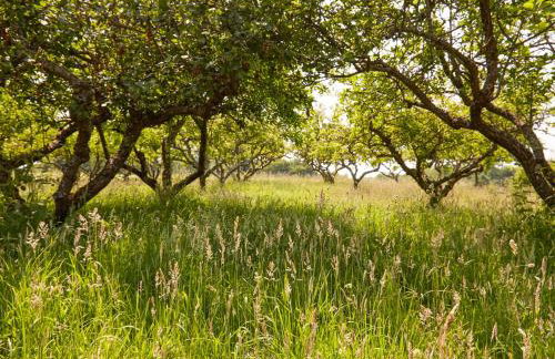 The Challoners - Photo 35