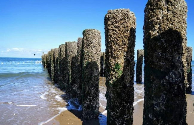 Peaceful Retreat Near Zeeland Beach - Photo 33