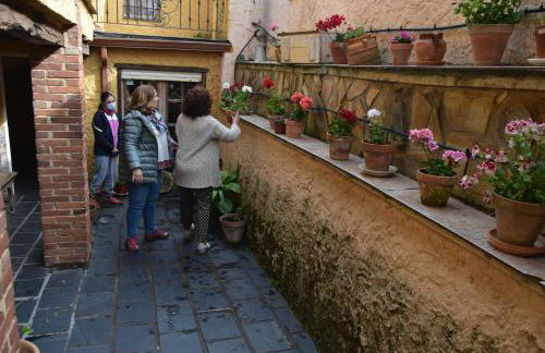 El Peralón de León - Foto 18