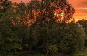 Róże i Jabłonie Agroturystyka - Foto 16