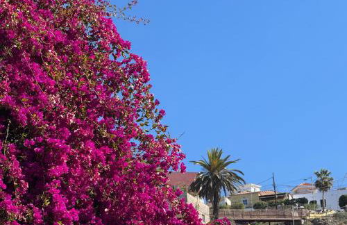 3 BEDROOM OCEAN VIEW PENTHOUSE WITH PRIVATE TERRACE & jACUZZI - Foto 25