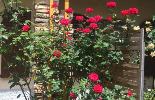 Charmant appartement sur cour, Le Cerisier - Foto 18