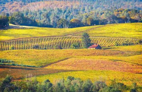 Smiling Otter Retreat! Waterfront/pool/spa/games! - Foto 42