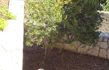 Apartments Lonza - Foto 13