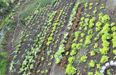 CASA DA VIZINHA, QUINTA DAS MEMÓRIAS - Photo 43