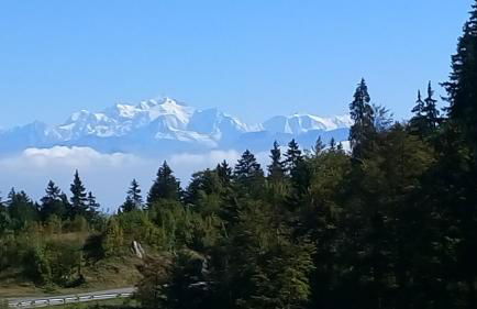 CHALET LES EPILOBES - Foto 13