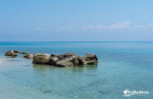 Residence Albatros - Foto 50