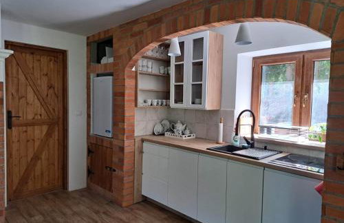 Dziki brzeg Jezioraka - Foto 4