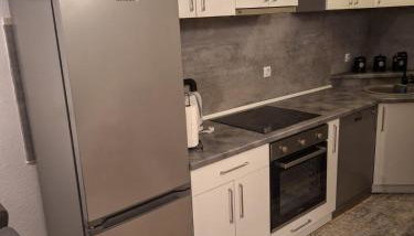 Žunić Apartman - Photo 4, stove, dishwasher