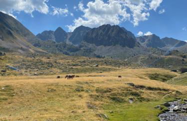 HERITAGE APARTMENTS CERDANYA al carrer Major i parking - Foto 47