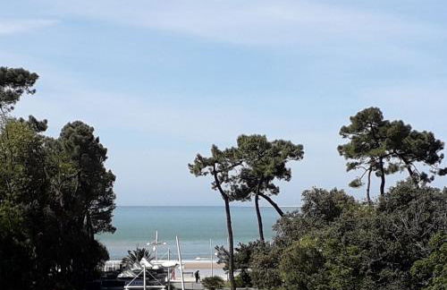 Studio La Charentaise - Logement de vacances 2 personnes vue mer - Foto 24