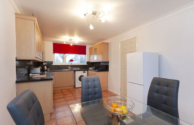 Mega Shelley - Foto 11