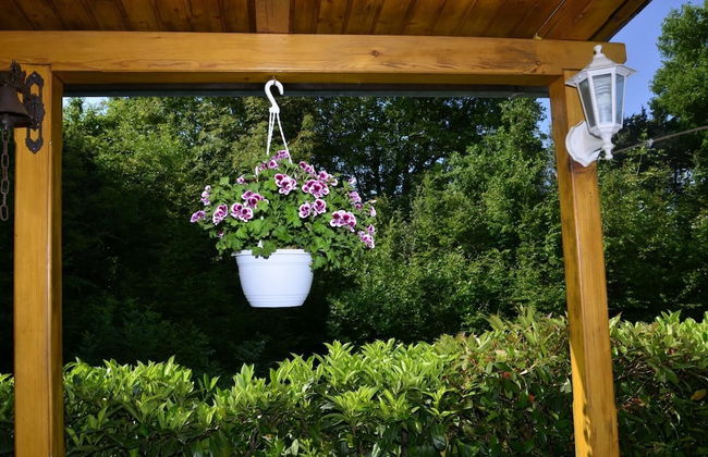 Apartment Blumen Oase - Foto 25