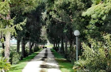 Silos Torrenova - Foto 26