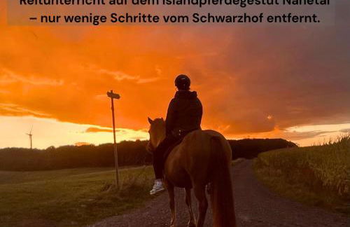 Ferienwohnung Schwarzhof Hahnekräh am Bostalsee - Foto 50