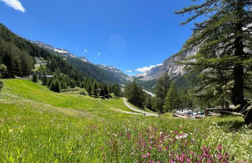 Chalet Chez Louis - Alpine Charm with Mont Blanc View & Ski Access - Foto 14