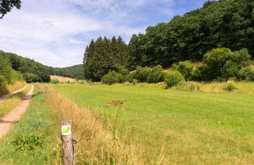 Bungalow auf dem Campingpark Waxweiler - Foto 68
