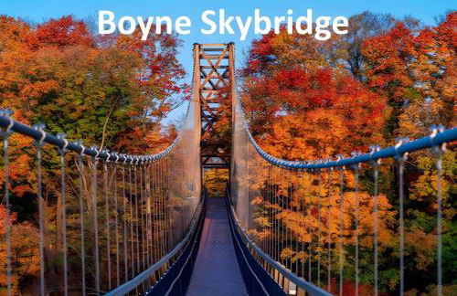 Petoskey Falls Escape-Hot Tub/Dogs/Petoskey/Boyne - Photo 56