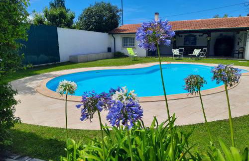 QM - Quinta da Morgadinha - Casa em Quinta Rural - Foto 73